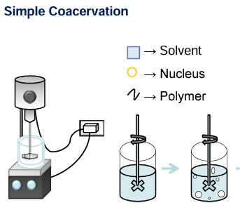 Processing and Technologies Applied to Oxidizers and Strategic Particles for Rocket Propulsion