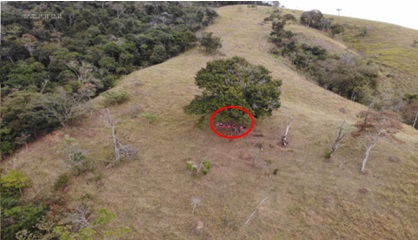 InSARSight: um banco de dados para Operações de Busca e Salvamento focado em destroços de aeronaves